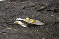 Adjustable Olive Branch Ring - Sterling Silver Leaf Design-0